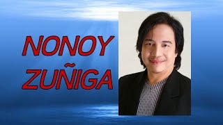 Doon Lang  NONOY ZUNIGA Karaoke [upl. by Hallvard311]