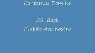 Cantemus Domino Psallite deo nostro JSBach [upl. by Gabriel]