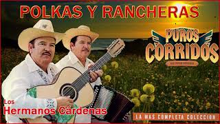 Los Hermanos Cardenas Mix  Polkas y Huapangos  Corridos y Rancheras Viejitas [upl. by Dodie944]