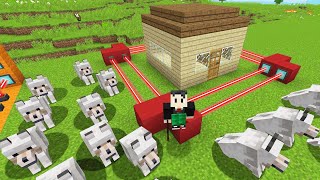 5 ARMADILHAS PARA SALVAR AS OVELHAS NO MINECRAFT [upl. by Loretta]