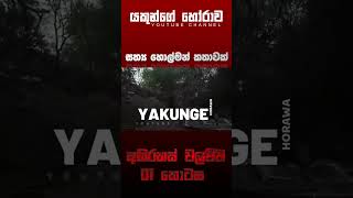 අභිරහස් වලව්ව 01 කොටස  sinhala holman katha horrorstories viral foryou ghost storytime [upl. by Loella]