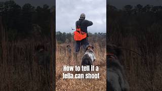 Wirehaired pointing griffon Olive and German Wirehaired Pointer Hilda double team a quail in MS [upl. by Amor]