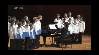 The Vienna Boys Choir  Strauss II  Emperor Waltz Kaiser Walzer [upl. by Whipple]