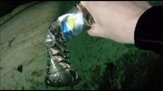 Crushing a bottle with water pressure at 75 feet deep [upl. by Nash]