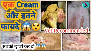 dog bacterial skin infection treatment  dog skin allergy treatment  kiskin cream  lotion [upl. by Inihor]