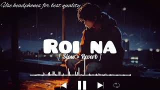 Roi Na Lofi song  SlowedReverb   ninja ‎LOFIMusic0304 [upl. by Senga]