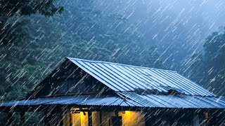 雨声助眠  睡得好有大雨和夜间迷雾森林中的金属屋顶上的雷声  Rain sounds for sleeping 51 [upl. by Eelra238]