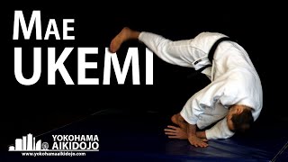 How to do Mae Ukemi Front Roll  Aikido Ukemi Tutorial [upl. by Anyalram]