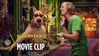 All ScoobyDoo Movie In List 1979  2024  scoobydoo cartoon scooby [upl. by Naaman103]