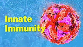 The Cells of Innate Immunity and Mechanism [upl. by Noside]