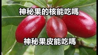 神秘果的核能吃嗎 神秘果皮能吃嗎 [upl. by Jolda646]