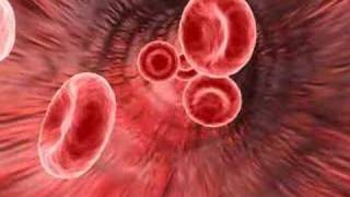 Medical animation of red blood cells [upl. by Ecital198]