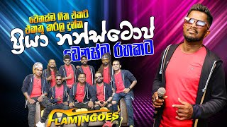 Priya Nonstop ප්‍රියා නන්ස්ටොප්  Ahungalla Flamingose [upl. by Zusman]