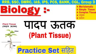 पादप ऊतक  Plant Tissue  जीव विज्ञान  Biology जाइलमPhloyem Xylem Plant Tissues in hindi [upl. by Lichter]