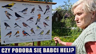 Czy podoba się babci Heli [upl. by Ettedranreb]