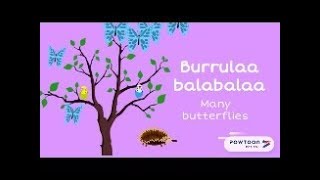 Burrulaa Balabalaa Many butterflies [upl. by Aicirt195]