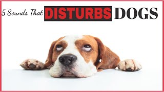 5 Sound That Disturbs Dogs amp Hate All Time [upl. by Etta]