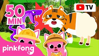 BEST Summer Outdoor Songs  Spooky Animals  More  Farm Animal Songs  Pinkfong for Kids [upl. by Alodie685]