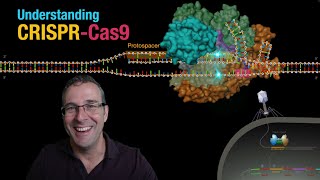 Understanding CRISPRCas9 [upl. by Willumsen]