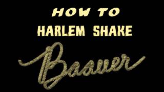 Baauer  Harlem Shake Official version HD [upl. by Phyllis]