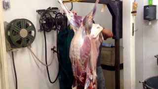 Peach Orchard Deer ProcessingDavid Skinning a deer in under two minutes [upl. by Bald]