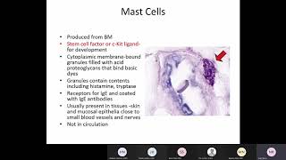 Abbas 2 Cells and Tissues of the Immune System Raje [upl. by Amadus759]