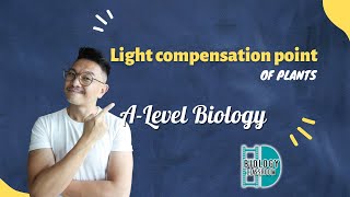 ALevel Biology  Light compensation point of plants [upl. by Singhal]