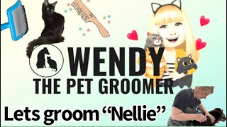 Lets groom Nellie” the CAT 🐈‍⬛ [upl. by Lajib]