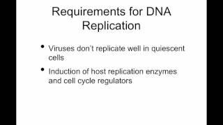 TWiV 96 Making viral DNA [upl. by Chaker]