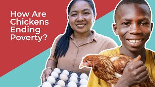 How One Chicken Can Transform an Entire Community [upl. by Serdna]