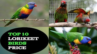 Top 10 Type Lorry keets Bird Price  Lorikeet bird Price in India 2023 [upl. by Nesrac]