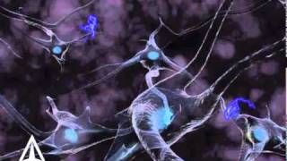 How Neurotransmission amp brain signals work  3D animation [upl. by Torres]