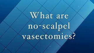 What Are No Scalpel Vasectomies [upl. by Ardiedak]