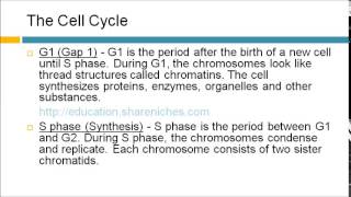 The Cell Cycle  G1 S Phase G2 M Phase  Cell Division [upl. by Gombach]