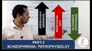 Part2 Schizophrenia Pathophysiology  Dopamine hypothesis [upl. by Esenwahs]