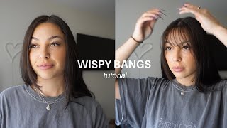 HOW I CUT WISPY BANGS AT HOME  Lauren Kubiske [upl. by Annoled]