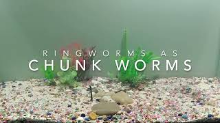 Ringworms as a Chunk Worm in Under 30 Seconds [upl. by Georgeanna564]