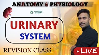 THE URINARY SYSTEM 2  anatomy and physiologyTHE URINARY SYSTEM [upl. by Karissa234]