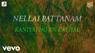 Nellai Pattanam  Kaniyatho En Kathal Tamil Lyric  Shyam Shankar [upl. by Bradleigh971]