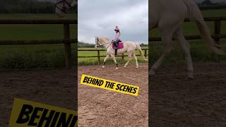 Behind the Scene footage With Ivy amp Ace horse equestrian showjumping horselover stallion [upl. by Ludwog]