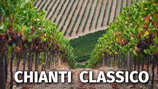 Great Italian Wines CHIANTI CLASSICO [upl. by Nies]