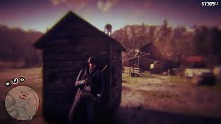 Red Dead Redemption 2  Sharpshooter 6 and 7 challenges at Hanging Dog Ranch [upl. by Atiana]