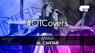 INSTRUMENTAL  Al cantar  Amaia  OTCover [upl. by Christel]