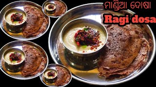 ବିନାବିରିଚାଉଳସୁଜିଅଟାମାଇଦା ରେ ତିଆରି ଦୋସାRagi dosa Recipe Mandia dosa Recipe Odia [upl. by Artemis657]