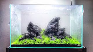 HOW TO Dry Start Method  CHEAT with carpet plants [upl. by Annadroj572]