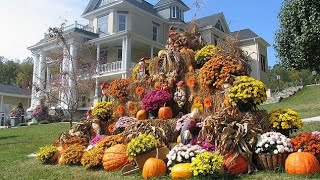 Mums In The Garden A Timeless Flowering Tradition [upl. by Leroy546]