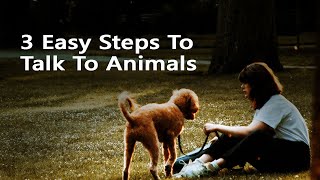 Animal Communication Basics  3 Easy Steps To Talk To Animals [upl. by Idihsar]