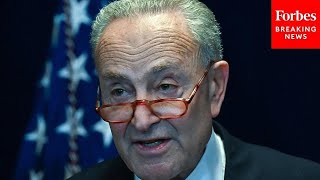 Schumer Calls GOP Border Bill A Nonstarter As Fight For Ukraine Aid Intensifies [upl. by Halimeda]