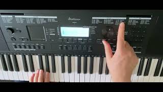 Klänge und Rhythmen eines Keyboards verwenden Am Beispiel des Startone MK400  Medeli MK401 [upl. by Rance]