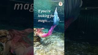 🌟 Want a magical life 🌟 mermaid quotes positivity [upl. by Yahc]